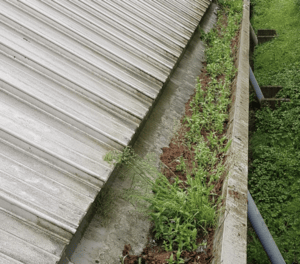 Happy customers in Addlestone who trust The Roof Moss Cleaners for gutter cleaning services