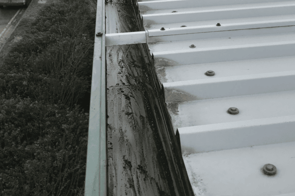 Commercial gutter cleaning specialists in Addlestone
